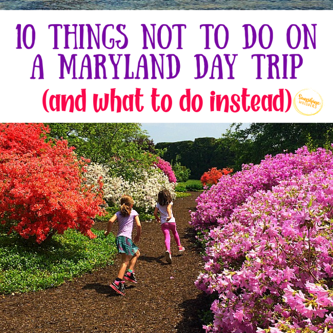 10 Things Not To Do On A Maryland Day Trip (and what to do instead)