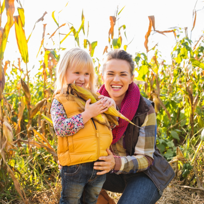 20+ Super Fun Corn Mazes In Maryland That Are Perfect To Get Lost In! (2022)