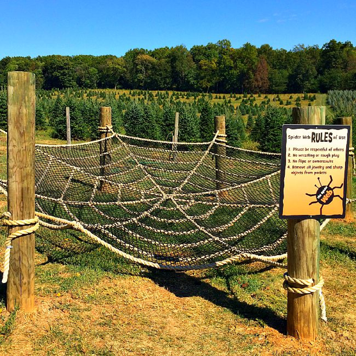 gaver farm spider web