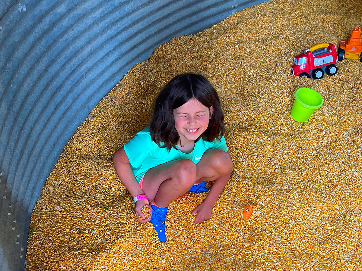 corn crib gaver farm