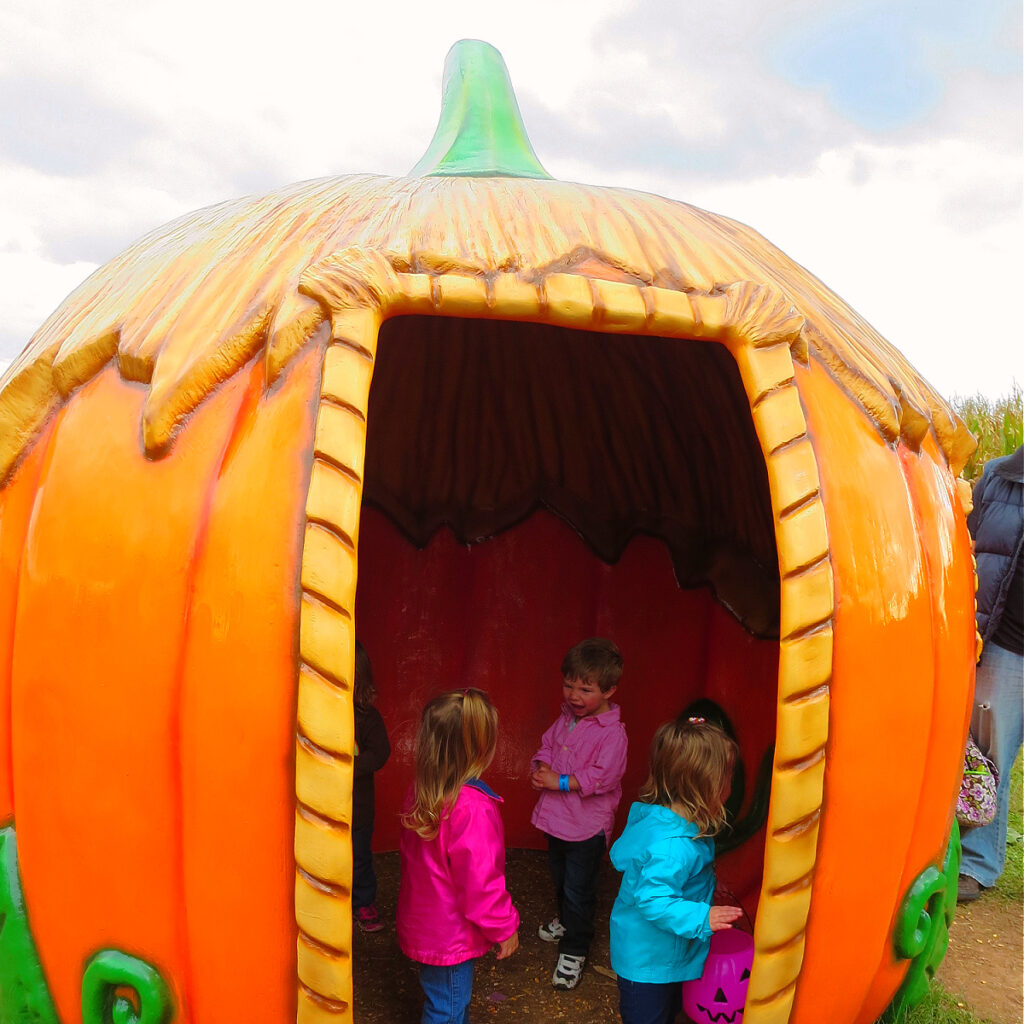 19 Reasons You Must Take Your Kids to Summers Farm This Fall!