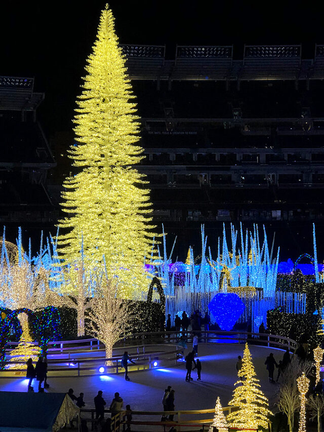 10 Ways To Experience The Magic Of Enchant Christmas