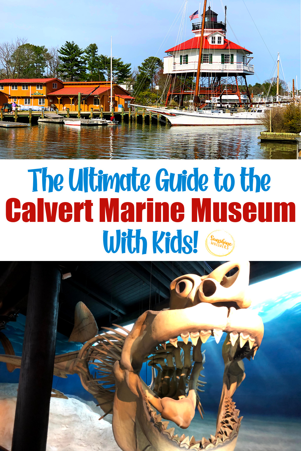 calvert marine museum with kids