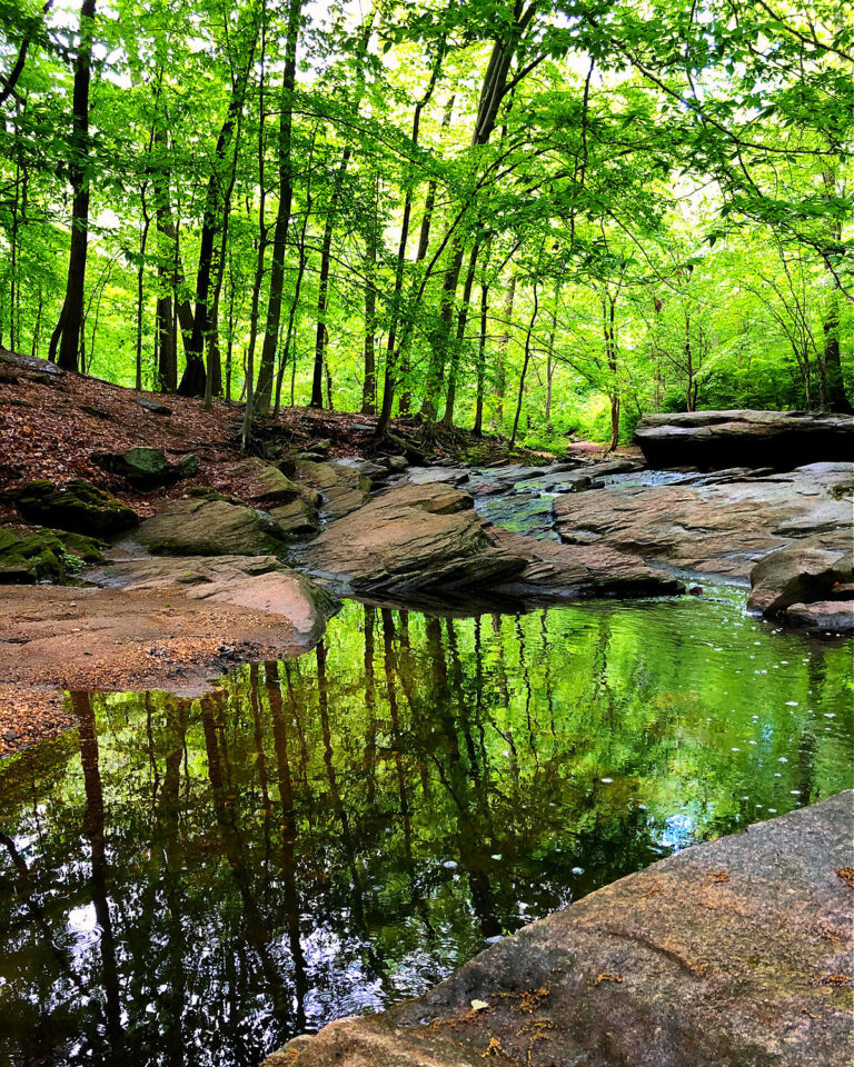 Double Rock Park in Parkville Kid Friendly Trail Guide Sunshine Whispers