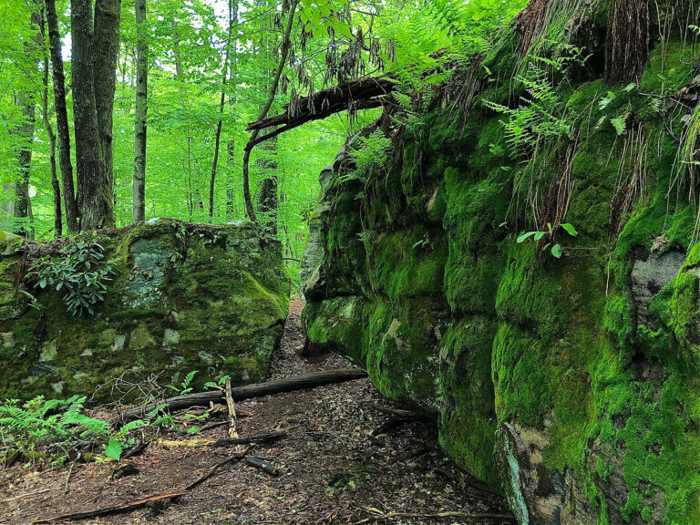 Maryland’s Rock Maze Trail in Deep Creek Area Guide!