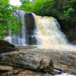 swallow falls state park guide