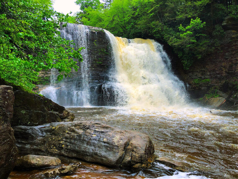 Swallow Falls State Park: Kid Friendly Guide