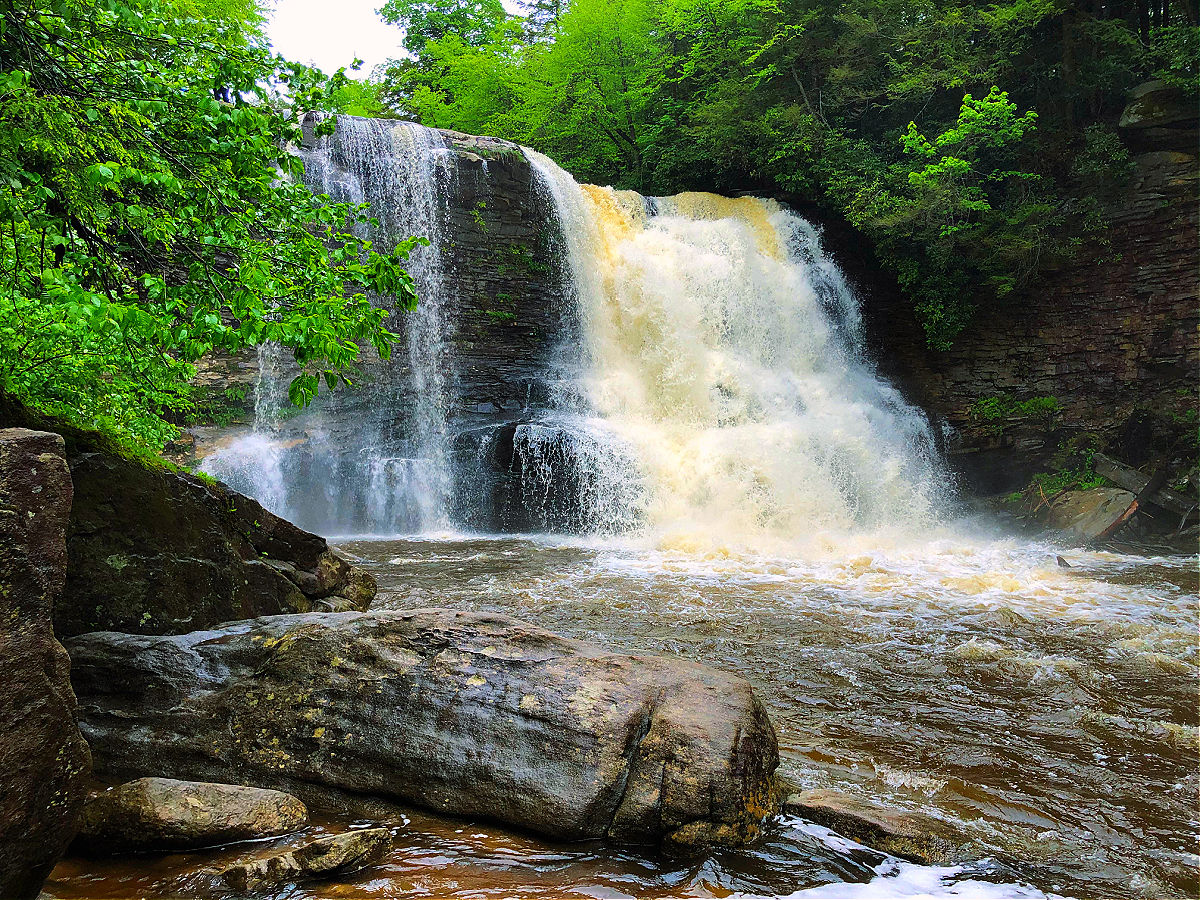 swallow falls state park guide