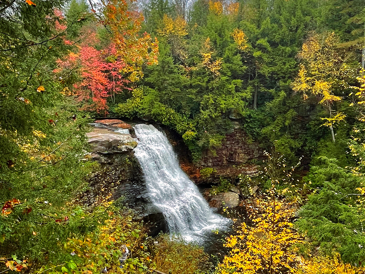 Swallow Falls State Park Guide