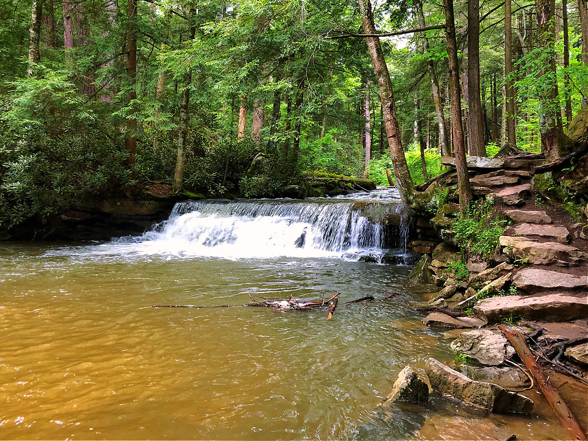 Swallow Falls State Park Guide