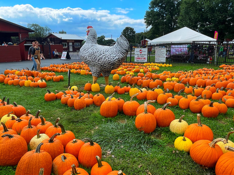 Milburn Orchards Fall Festival Weekends in the BIG Backyard: Kid friendly guide