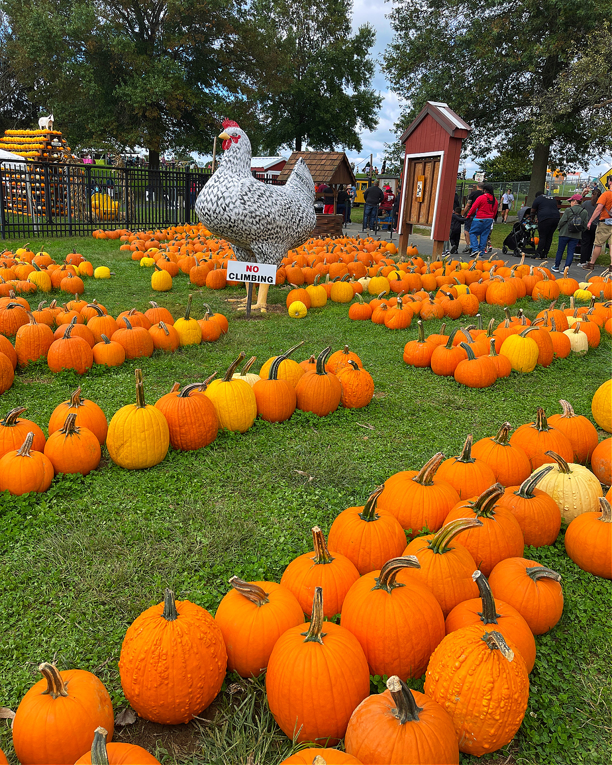 Milburn Orchards Fall Festival Weekends