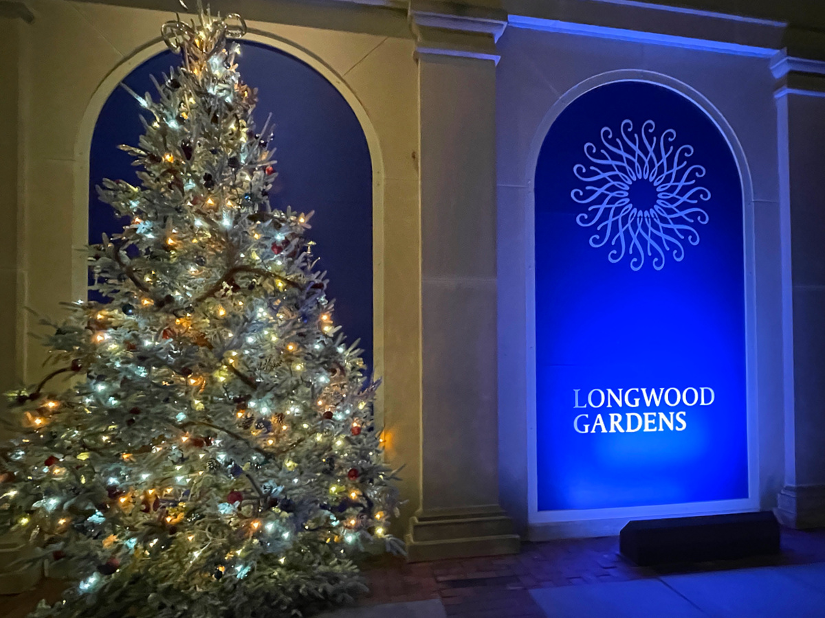 A Longwood Christmas