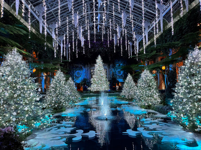 Tips for Visiting A Longwood Christmas and What to Expect