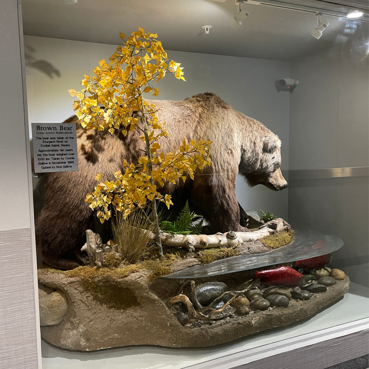 Totem Inn The Ultimate Guide to 3 Days in Valdez, Alaska - Sunshine Whispers