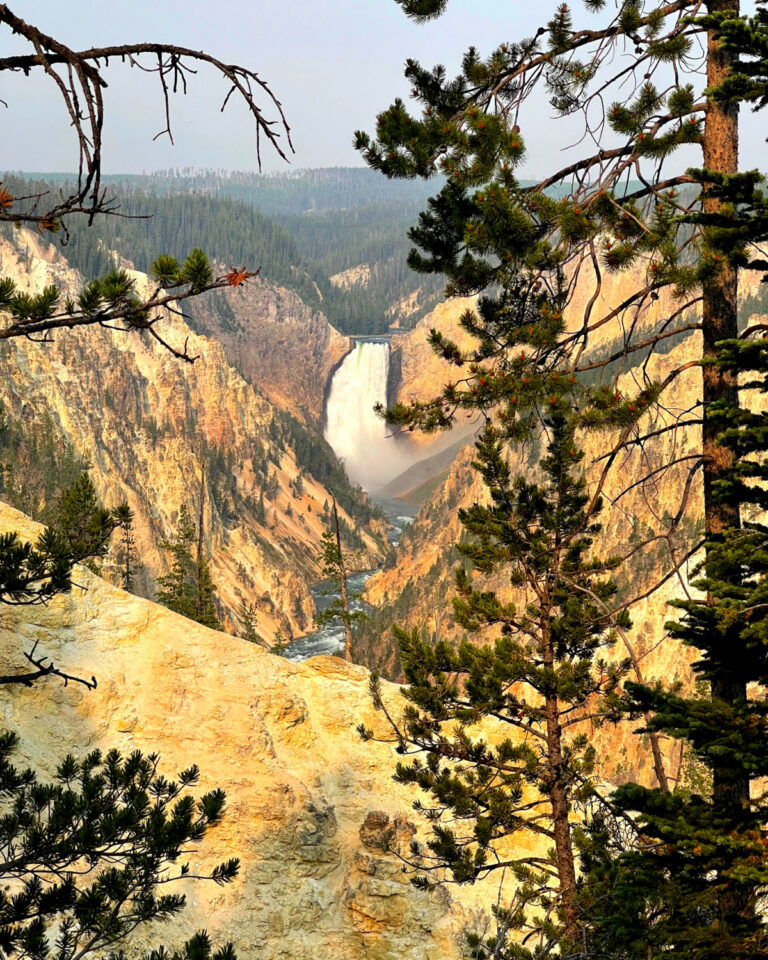 Yellowstone National Park Overview: A First-Timer’s Guide - Sunshine ...