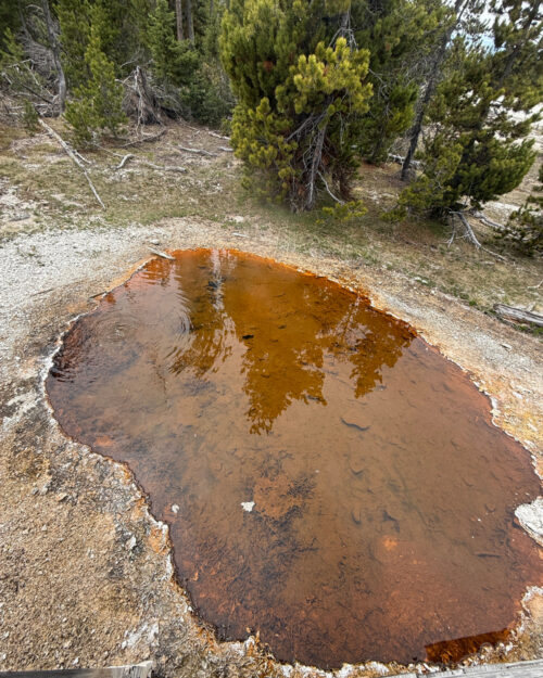West Thumb Geyser Basin: Yellowstone’s Lakeside Wonderland - Sunshine ...