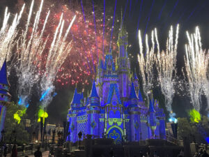 Disney World Enchanting Extras
