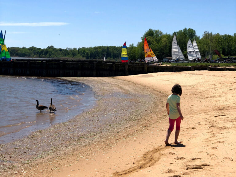 Pot Rocks Gunpowder Gunpowder Falls State Park Central Area Guide (Hammerman, Pot Rocks ...