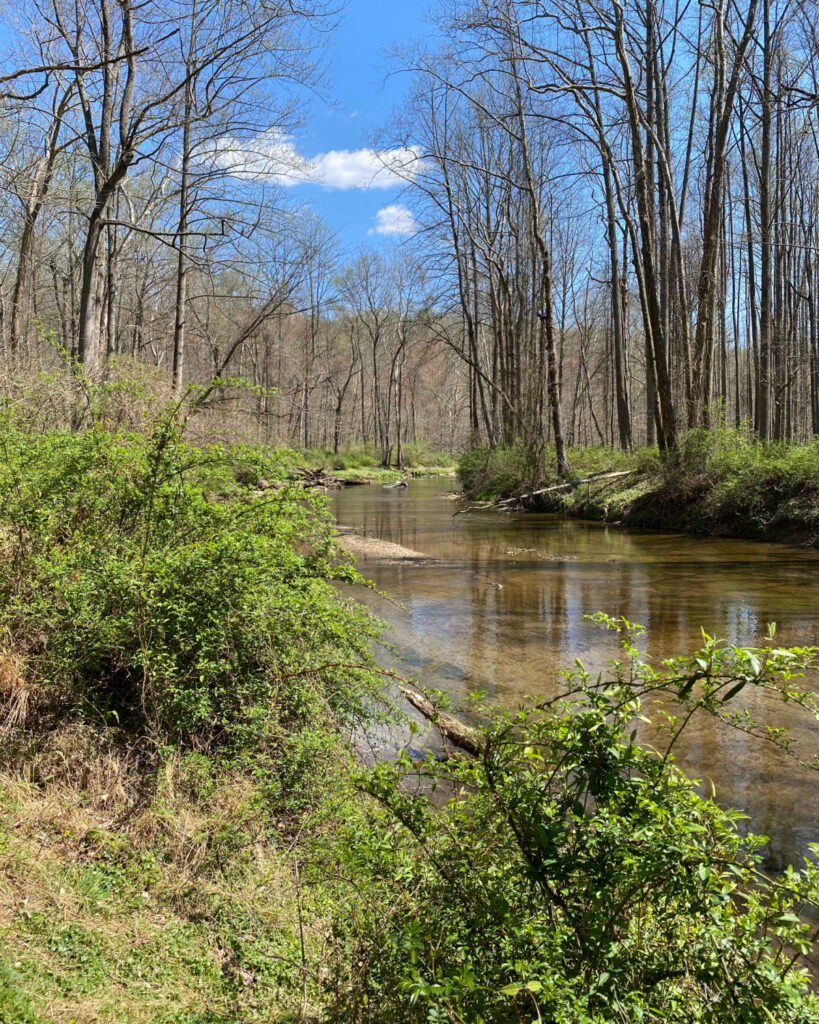Pot Rocks Gunpowder Gunpowder Falls State Park Central Area Guide (Hammerman, Pot Rocks ...