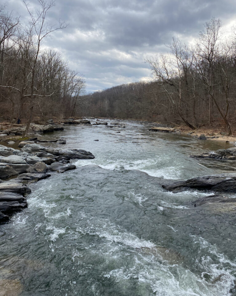 Gunpowder Falls State Park Central Area Guide (Hammerman, Pot Rocks ...