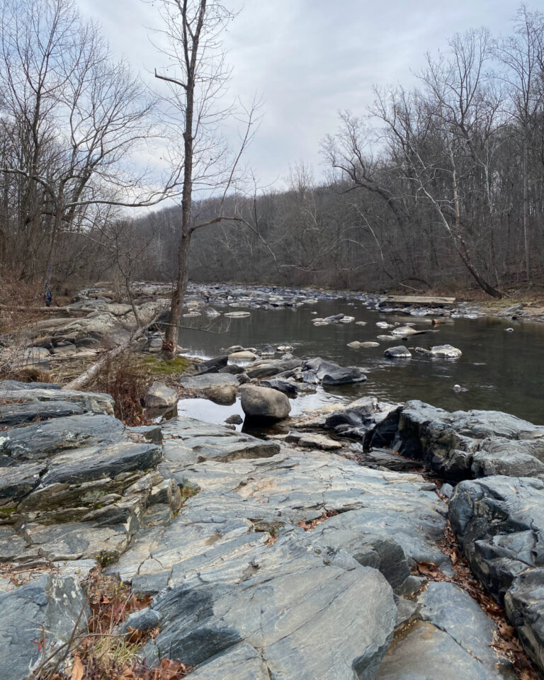Gunpowder Falls State Park Central Area Guide (Hammerman, Pot Rocks ...