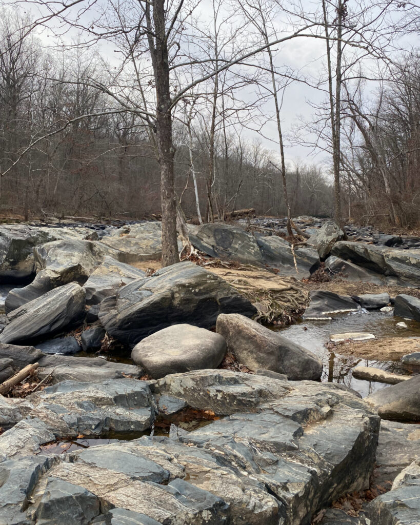 Gunpowder Falls State Park Central Area Guide (Hammerman, Pot Rocks ...