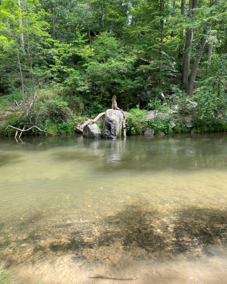 Gunpowder Falls State Park Central Area Guide (Hammerman, Pot Rocks ...