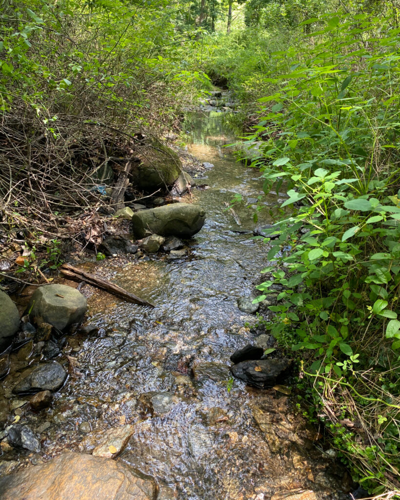 Pot Rocks Gunpowder Gunpowder Falls State Park Central Area Guide (Hammerman, Pot Rocks ...