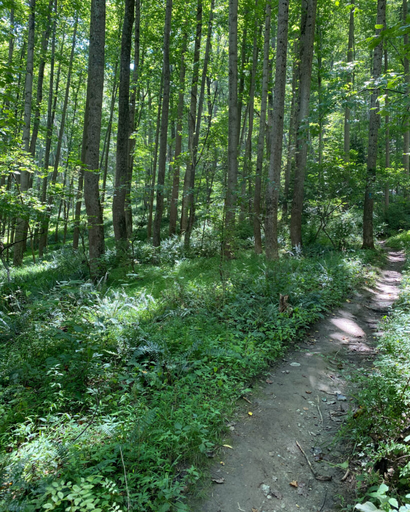 Pot Rocks Gunpowder Gunpowder Falls State Park Central Area Guide (Hammerman, Pot Rocks ...