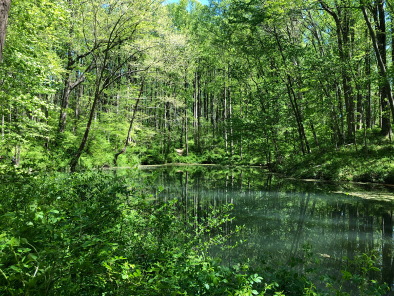 sweet air area gunpowder falls state park guide