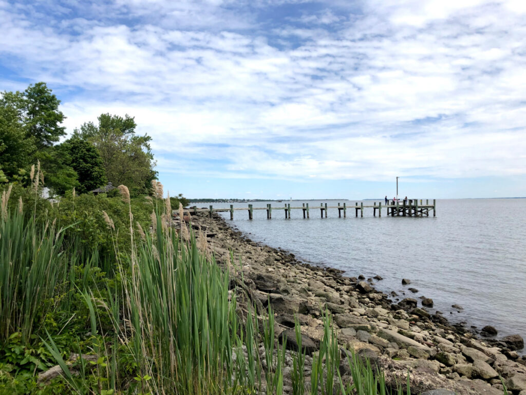 North Point State Park Guide: Beach, Trails, Pier & Easy Family Fun ...