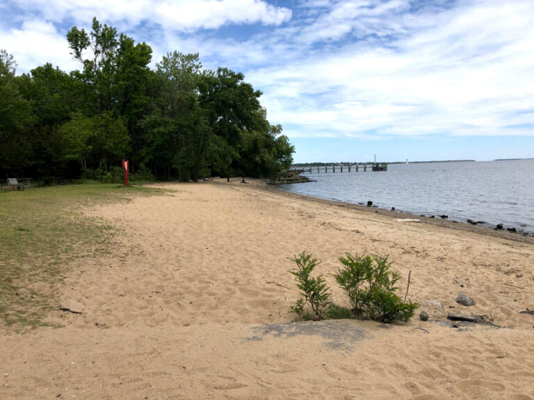 North Point State Park Guide: Beach, Trails, Pier & Easy Family Fun ...