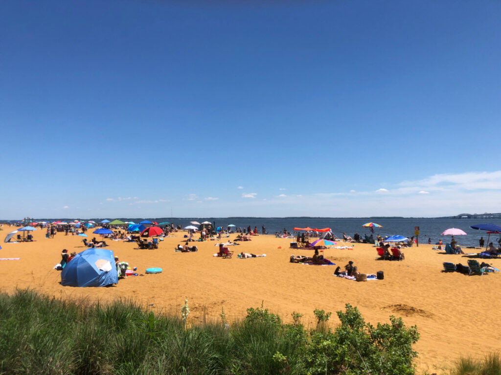 Sandy Point State Park Guide: Beach, Trails, Tips for Maryland Families ...