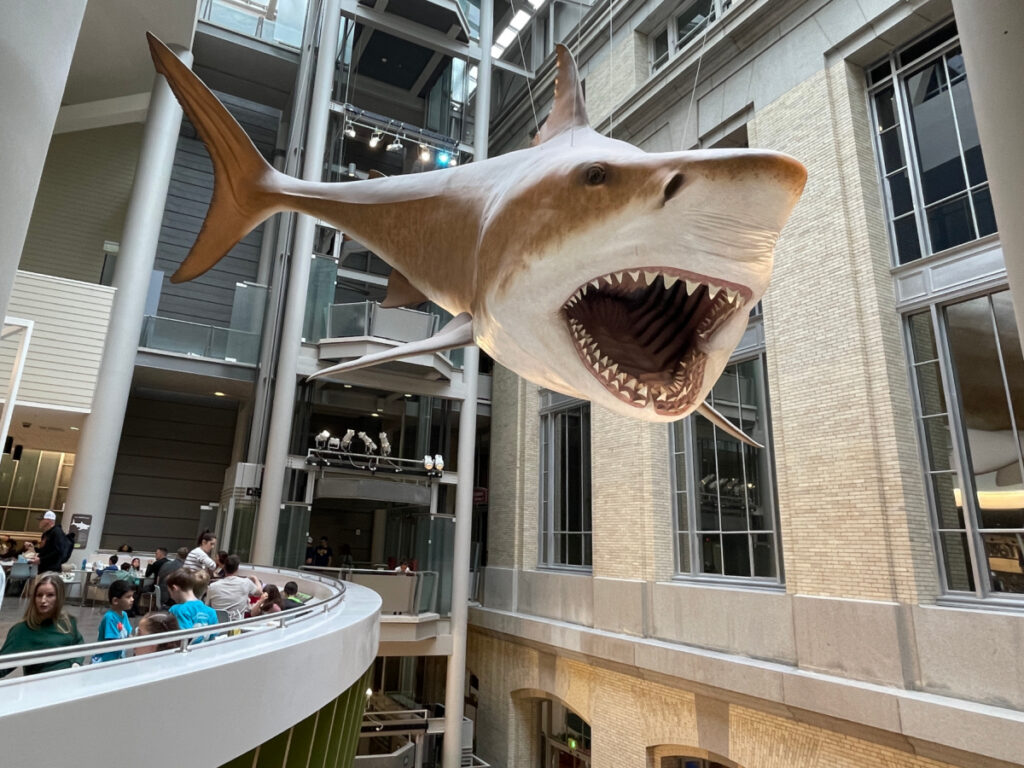 best museums in washington dc