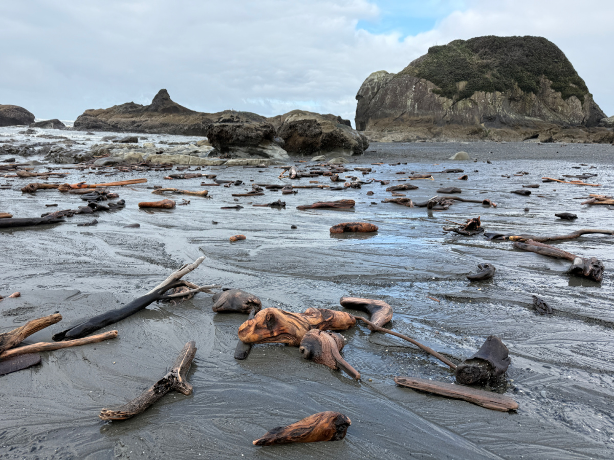 Beach 4 Olympic National Park