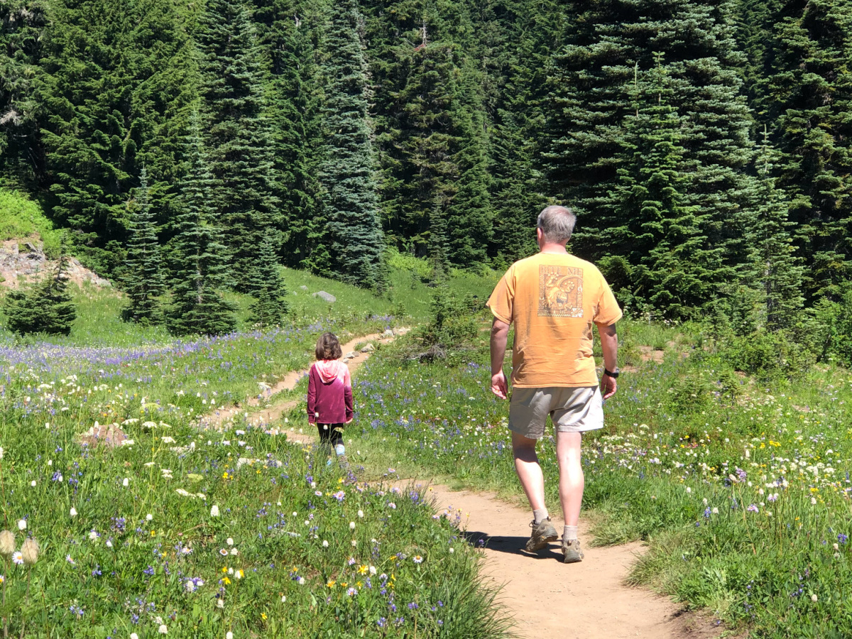 best easy hikes in mount rainier national park
