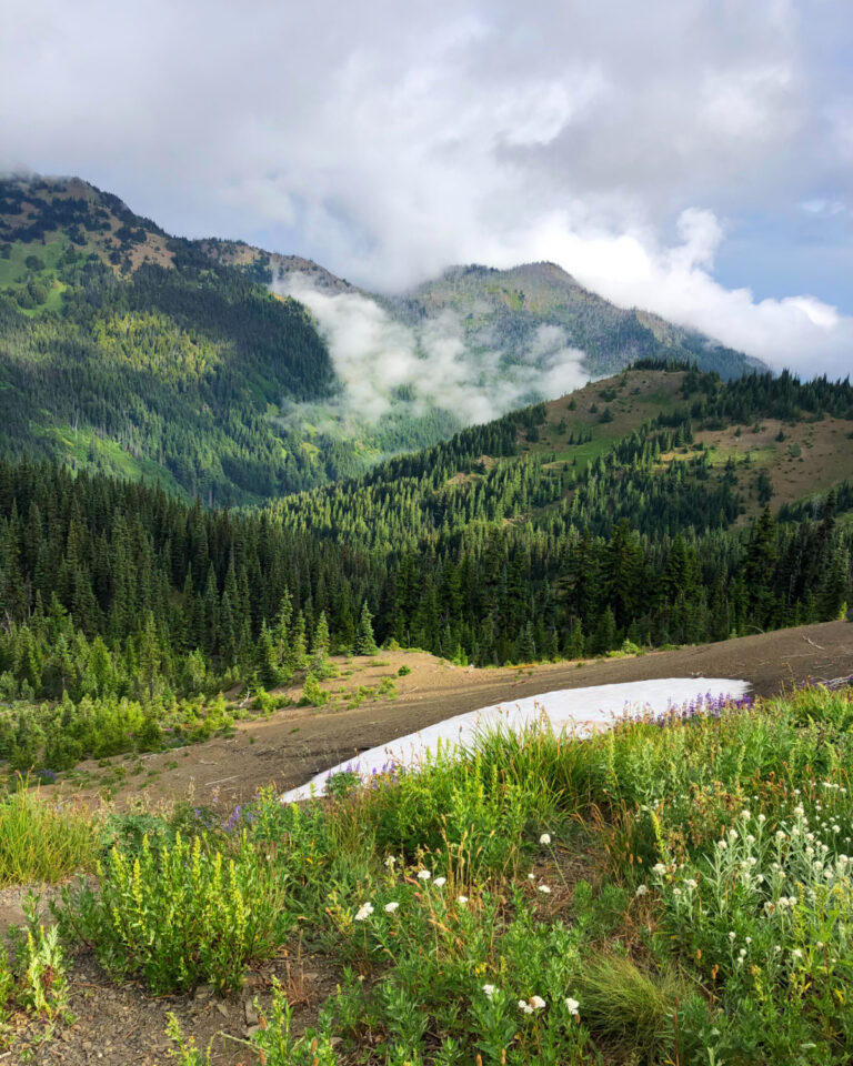 Olympic National Park Itinerary: The Perfect 3–4 Day Road Trip Guide ...