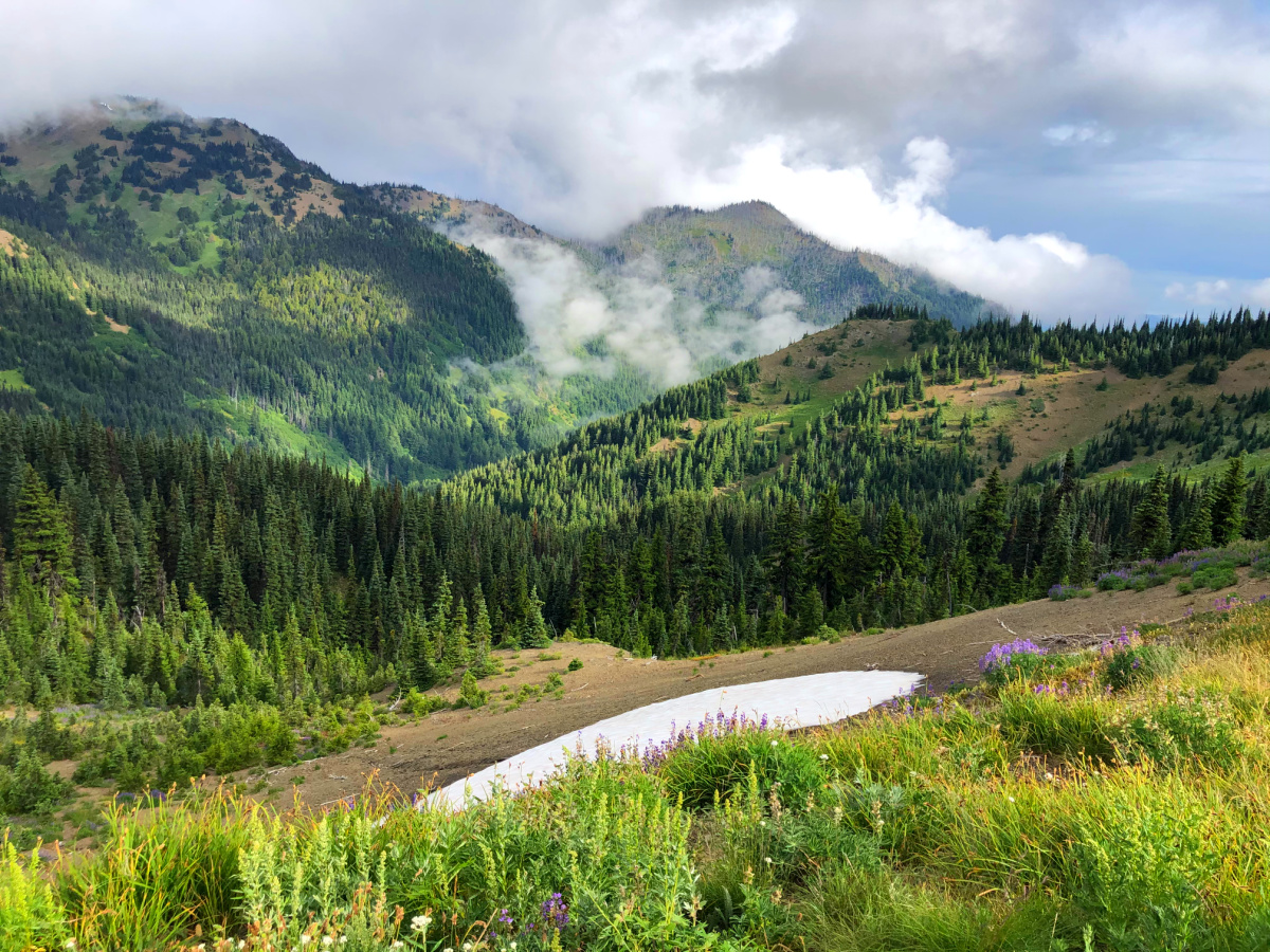 Hurricane Ridge