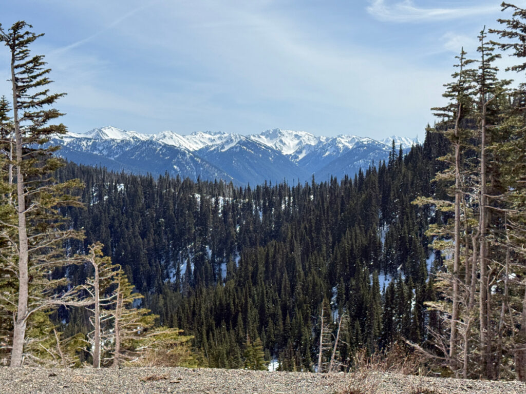 Hurricane Ridge in Olympic National Park: What to Expect in Summer and ...