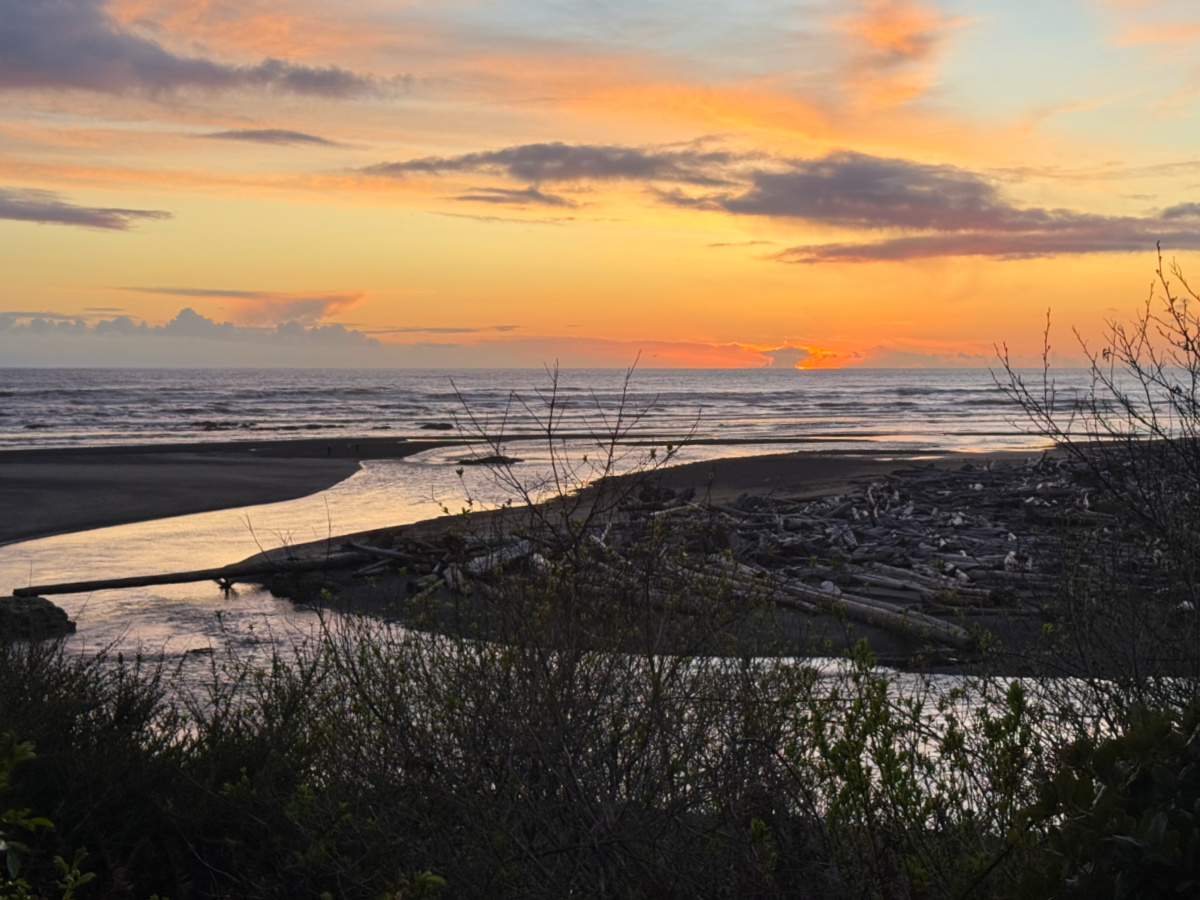 Kalaloch Lodge Review