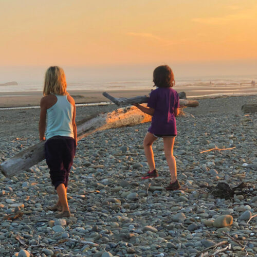 Olympic National Park With Kids: What Families Should Know Before Visiting
