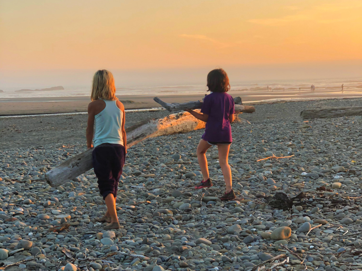 Olympic National Park With Kids: What Families Should Know Before Visiting