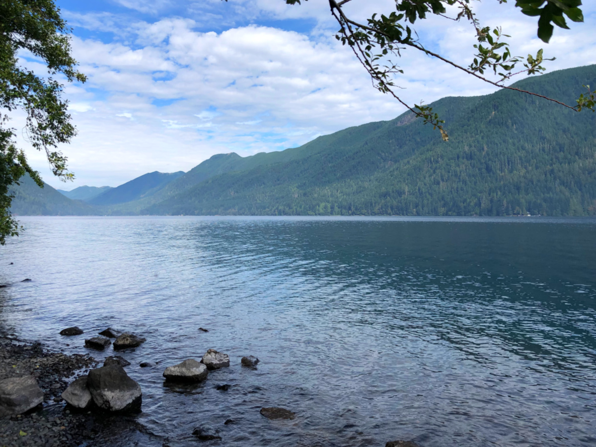 best time to visit olympic national park