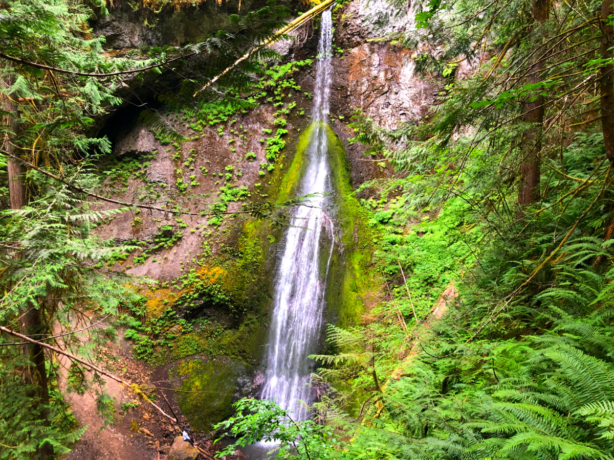 marymere falls trail