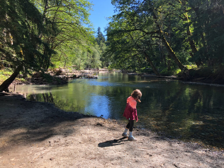 best things to do in mount rainier national park with kids