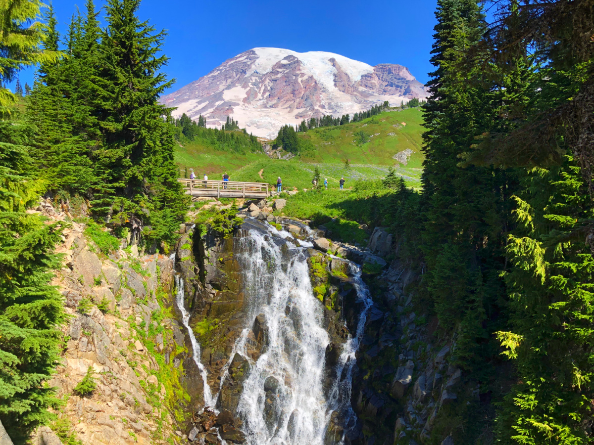 Myrtle Falls Trail