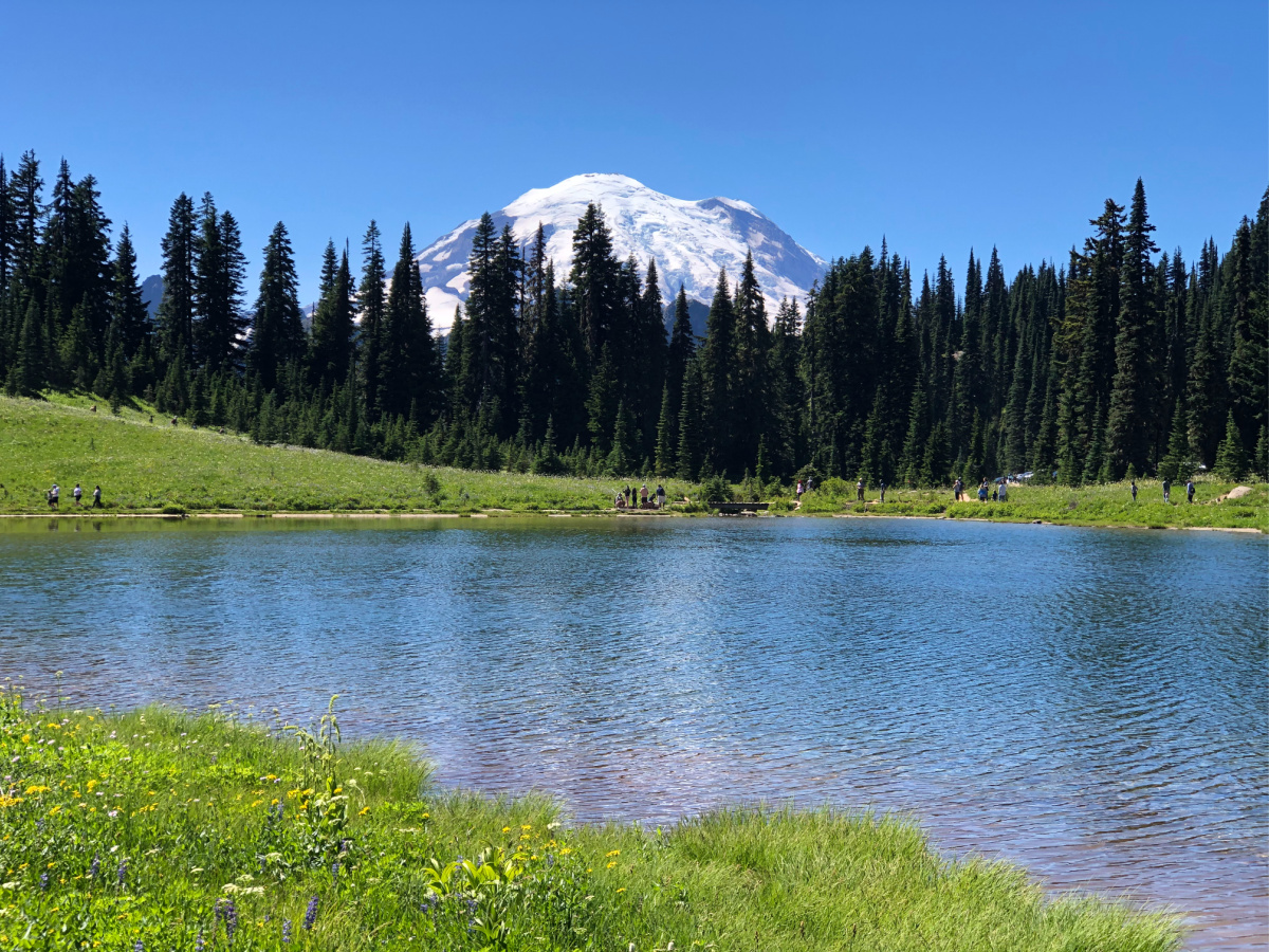 Tipsoo Lake Mount Rainier