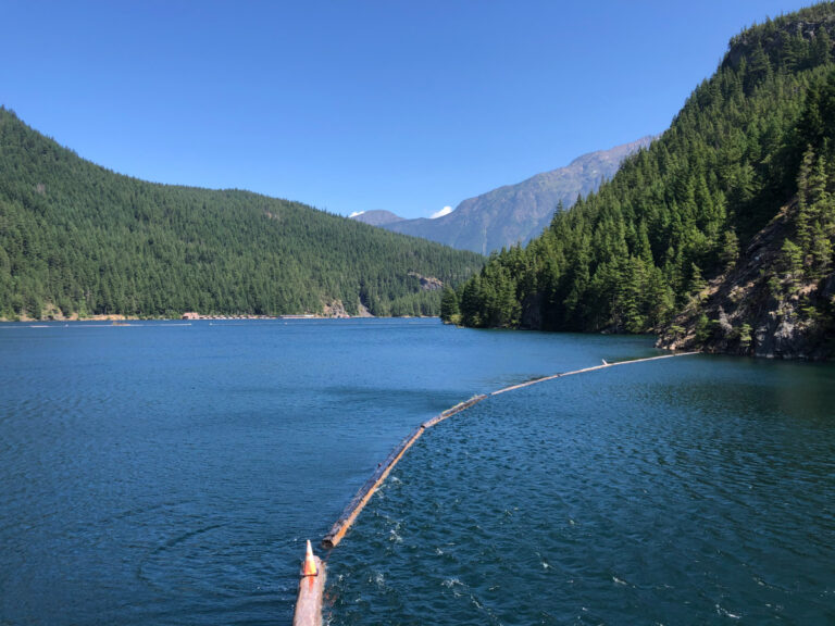 Ross Dam Trail