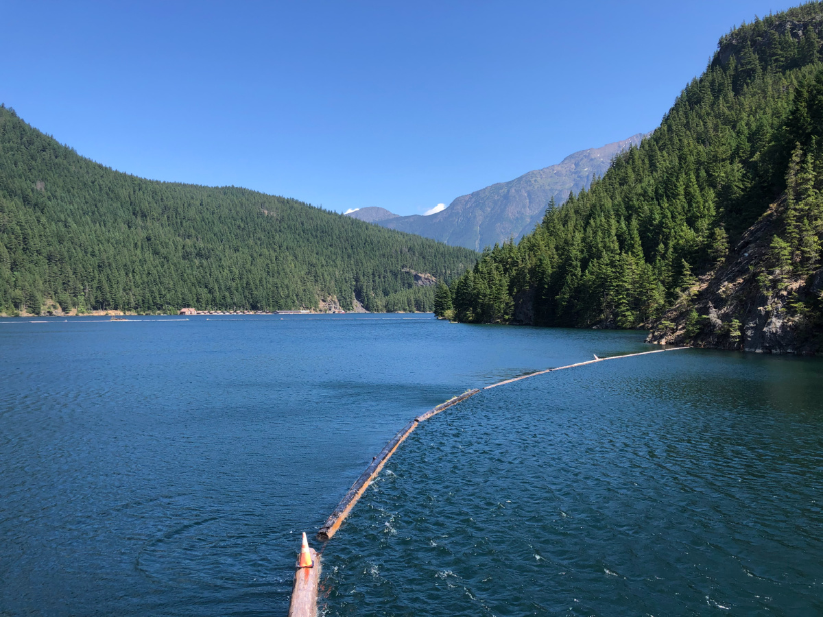 Ross Dam Trail